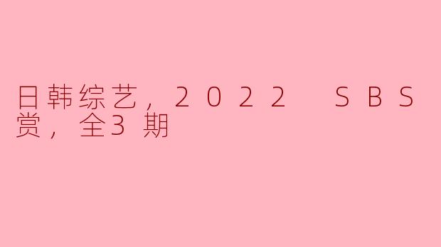 日韩综艺，2022 SBS 演艺大赏，全3期